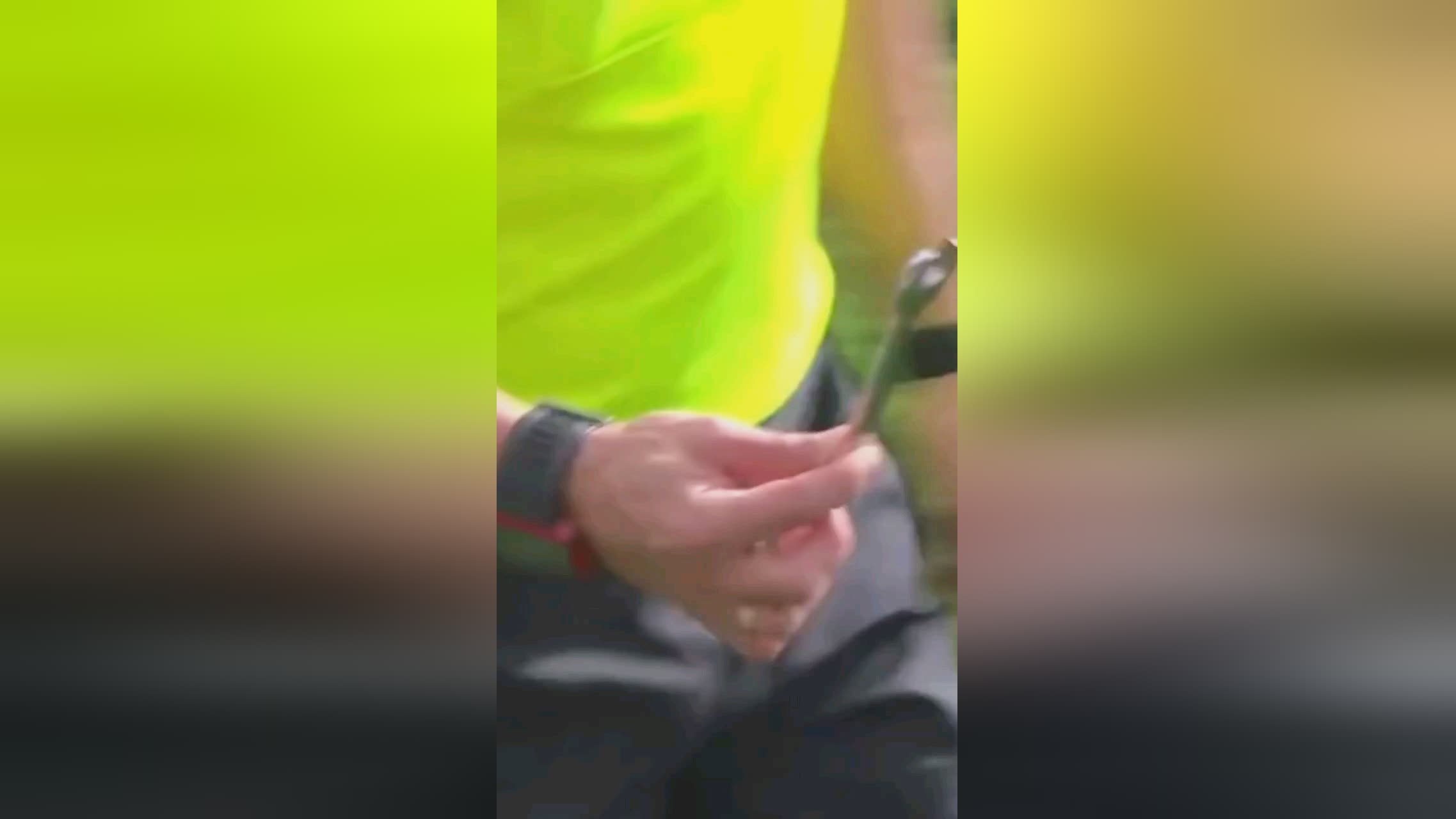 奇开