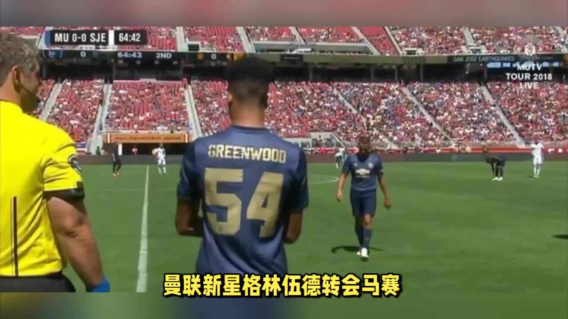知视频网站